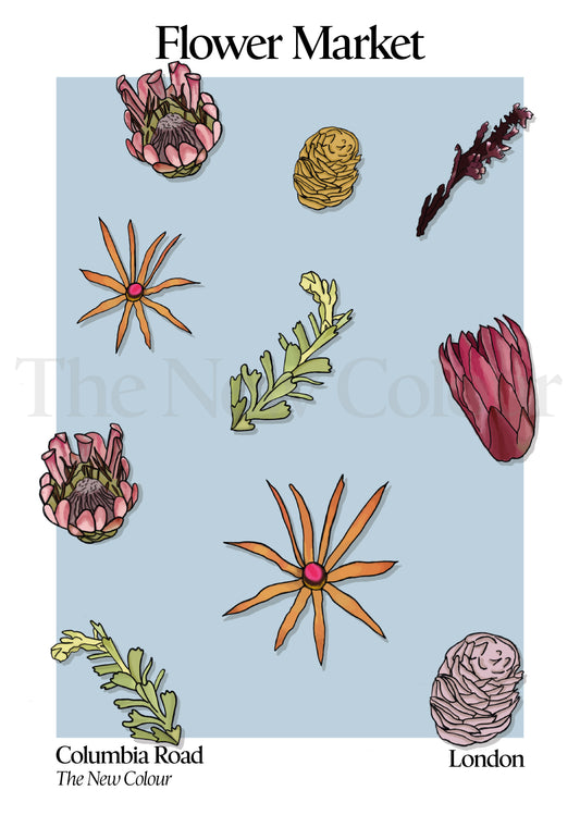 Columbia Road Flower Market, London, Art Print