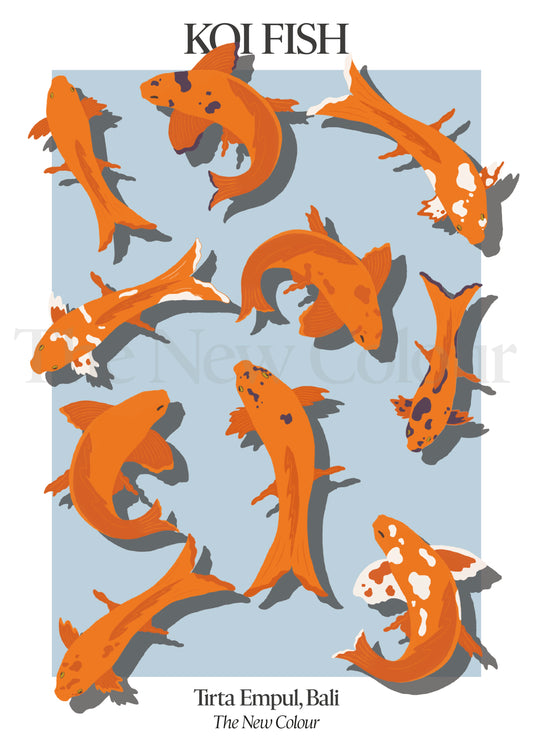 Koi Fish, Art Print