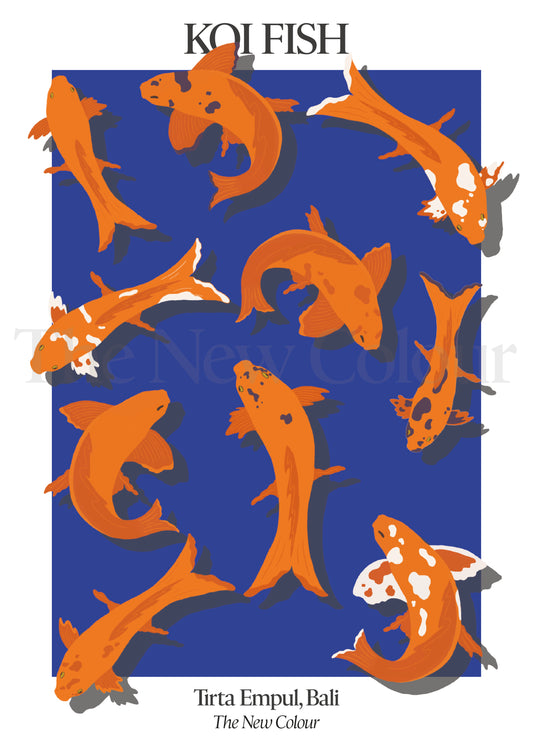 Koi Fish, Art Print